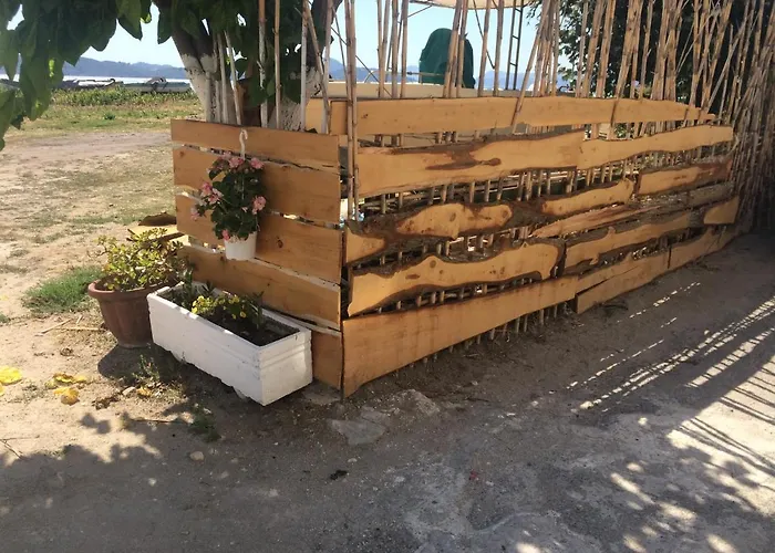 Petrakis 4*