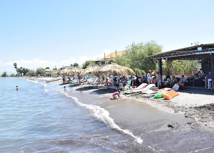 Petrakis 4*