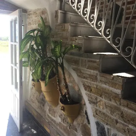 Petrakis Πανσιόν 4*