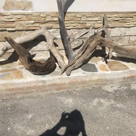 Petrakis