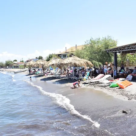 Petrakis 4*